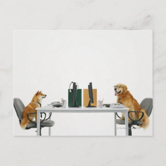 Two dogs wearing tie and glasses ,sitting on postcard