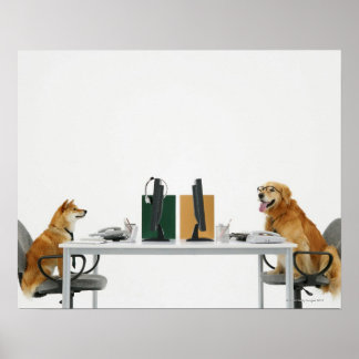 Two dogs wearing tie and glasses ,sitting on poster