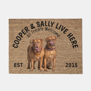 Two Dogue de Bordeaux Personalised Dog Lover Doormat
