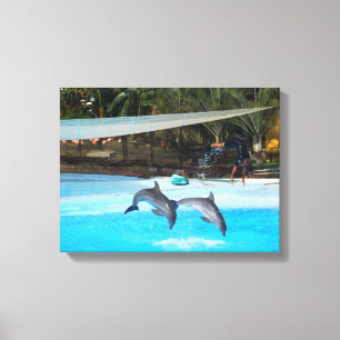Two dolphins animal canvas print