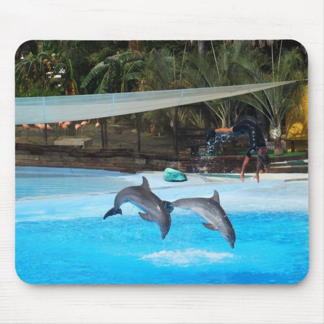 Two dolphins mouse pad (Front)