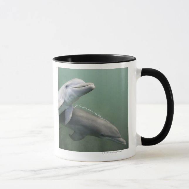Two Dolphins underwater Mug (Right)