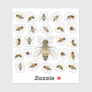 Two Dozen Realistic Honeybees