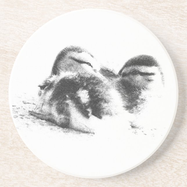 Two Ducklings Coaster (Front)