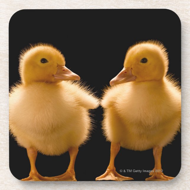 Two ducklings looking at one another coaster (Front)