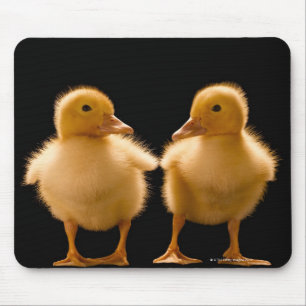 Two ducklings looking at one another mouse pad