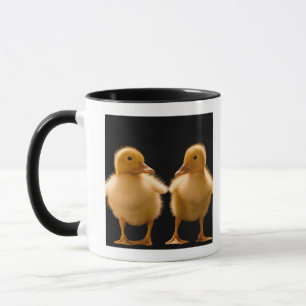 Two ducklings looking at one another mug