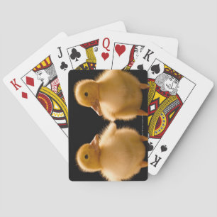 Two ducklings looking at one another playing cards