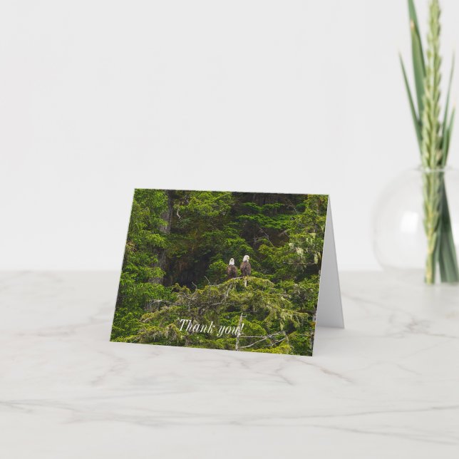Two Eagles Perched Painterly Thank You Card (Front)
