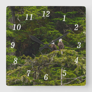 Two Eagles Perched Painterly Wall Clock