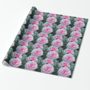 Two elegant pink roses wrapping paper