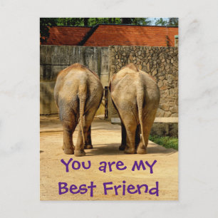 Two elephants - my best friend postcard