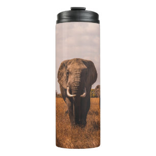 TWO ELEPHANTS WALKING ON GRASS COVERED GROUND THERMAL TUMBLER