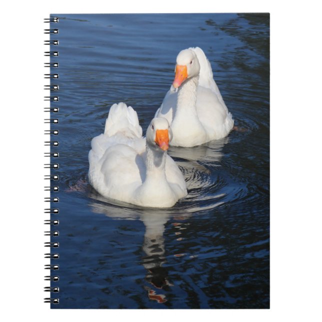 Two Emden Geese II Spiral Notebook (Front)