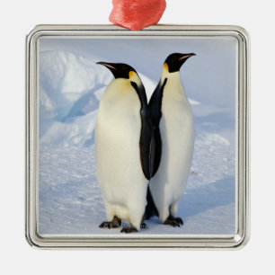 Two Emperor Penguins in Antarctica Metal Tree Decoration