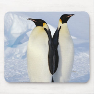 Two Emperor Penguins in Antarctica Mouse Pad