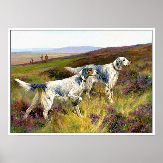 Two English Setters in a Field - Arthur Wardle Poster (Front)