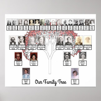 Two Families Pink Fractal Tree Photo Name Poster