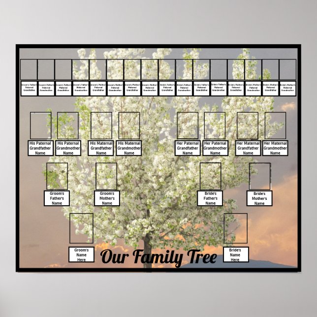 Two Family Tree Blossoms Tree Photo | Pink Sunset Poster (Front)