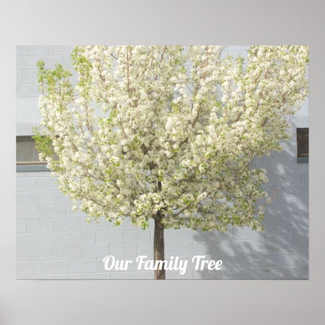 Two Family Trees Blossoms Photo | Name Poster (Front)