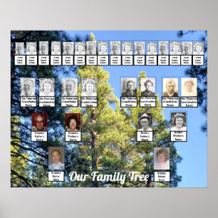 Two Family Trees Pine Trees Photo Name Poster