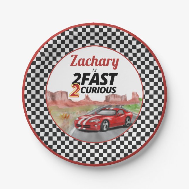Two Fast Two Curious Vintage Birthday Paper Plate (Front)
