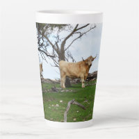 Two Fawn Highland Cows in Peaceful Country Lands,