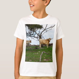 Two Fawn Highland Cows in Peaceful Country Lands, T-Shirt