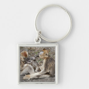 Two female Golden Monkeys with newborns Key Ring