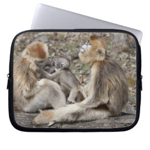 Two female Golden Monkeys with newborns Laptop Sleeve