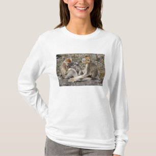 Two female Golden Monkeys with newborns T-Shirt