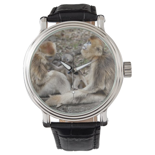 Two female Golden Monkeys with newborns Watch (Front)