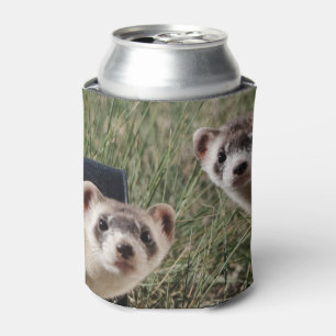 Two Ferrets Can Cooler