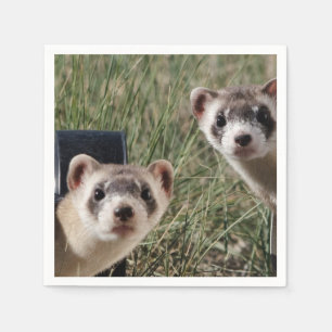Two Ferrets Napkin