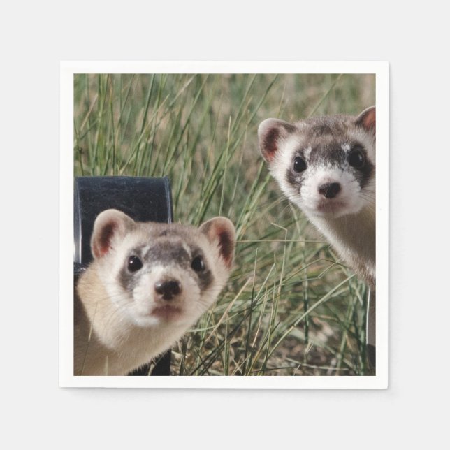 Two Ferrets Napkin (Front)