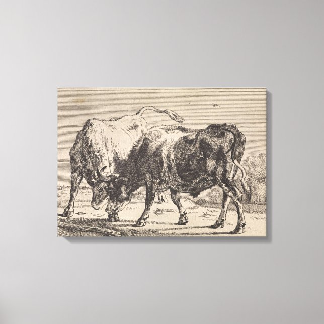 Two Fighting Bulls (by Paulus Potter) Canvas Print (Front)