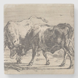 Two Fighting Bulls (by Paulus Potter) Stone Coaster