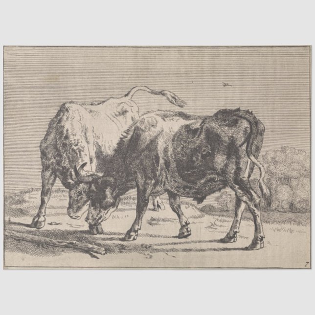 Two Fighting Bulls (by Paulus Potter) Tissue Paper (Front)