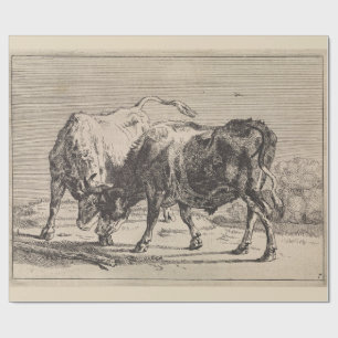 Two Fighting Bulls (by Paulus Potter) Wrapping Paper