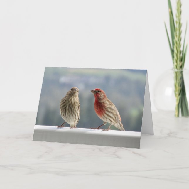 Two Finches Flirting. Card (Front)