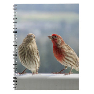 Two Finches Flirting.  Notebook