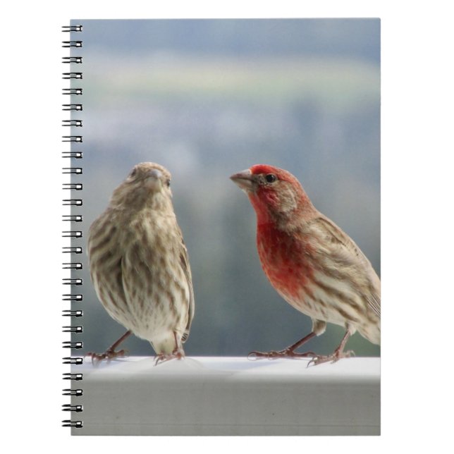 Two Finches Flirting.  Notebook (Front)