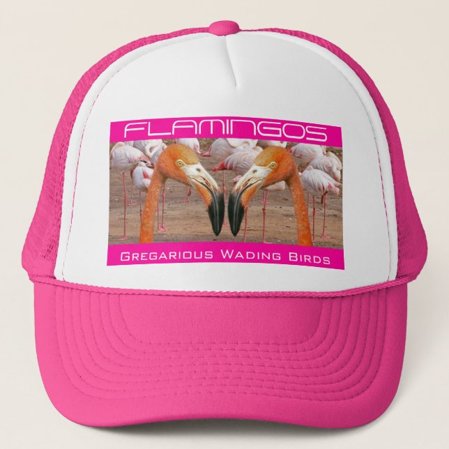 Two Flamingo Heads - (Hat) Trucker Hat (Front)