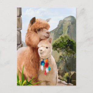 Two fluffy alpacas on the background of the lake	 postcard