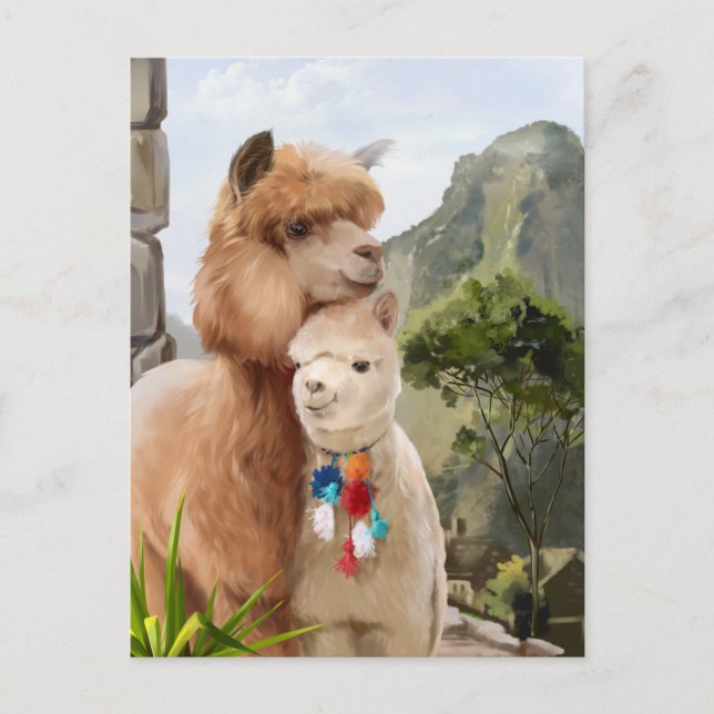 Two fluffy alpacas on the background of the lake	 postcard (Front)