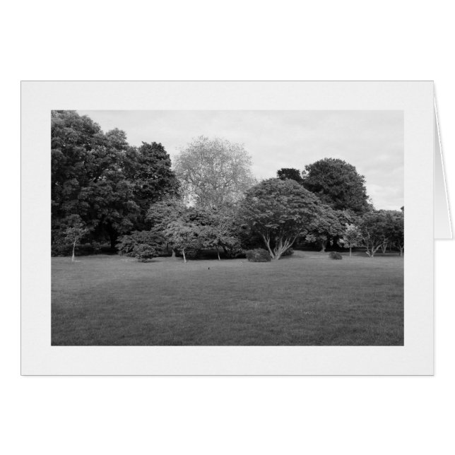 Two for Joy (Bordered) (Front Horizontal)