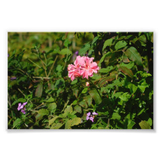 Two For One Photo Print