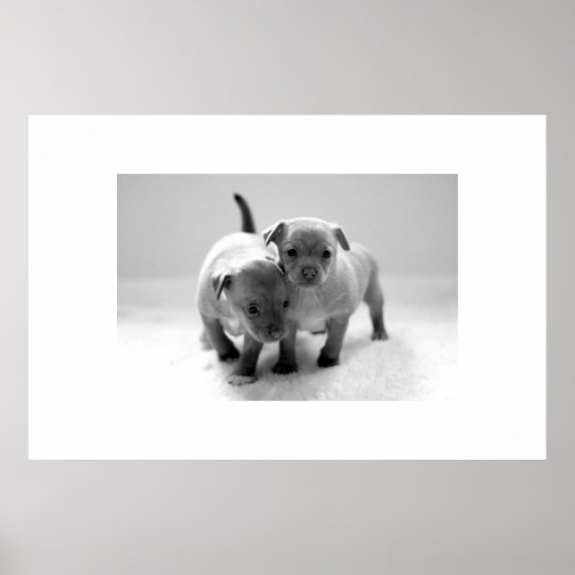 Two For One Poster (Front)