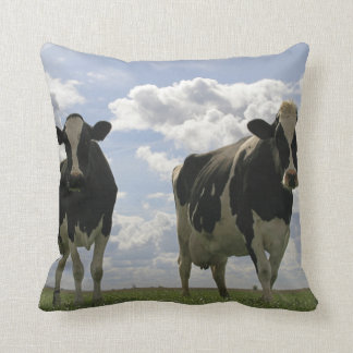 Two Friesian cows Cushion