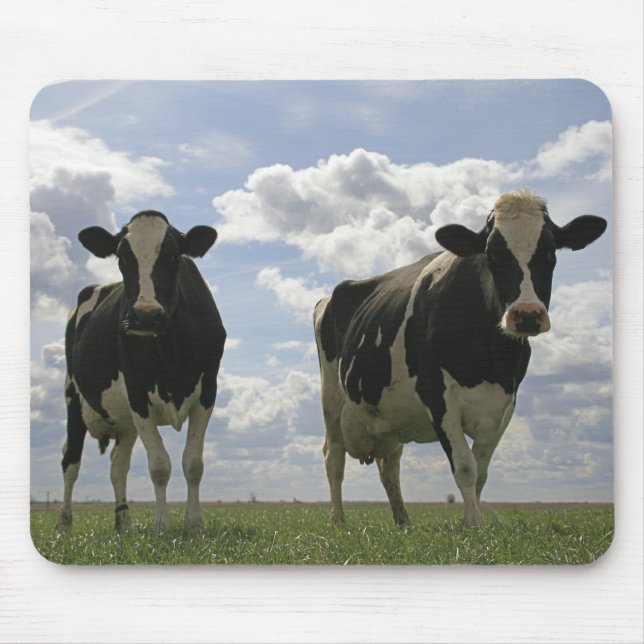 Two Friesian cows Mouse Pad (Front)